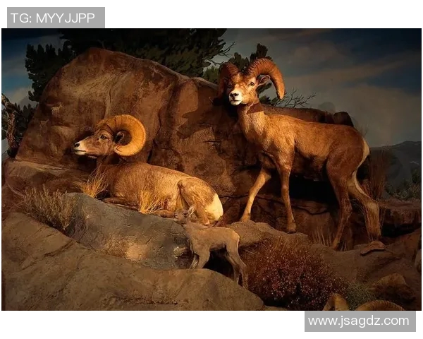 人类与熊的对抗与共存探索之旅：自然界中的生存智慧与挑战